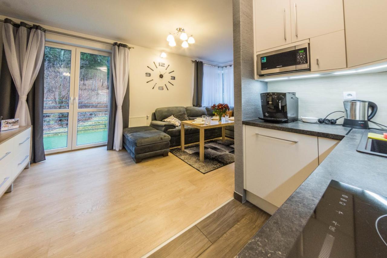 Apartamenty Izerskie - Ul. Cicha 13D-E Świeradów-Zdrój Buitenkant foto