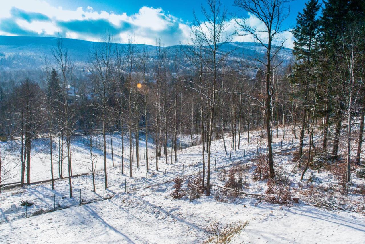 Apartamenty Izerskie - Ul. Cicha 13D-E Świeradów-Zdrój Buitenkant foto